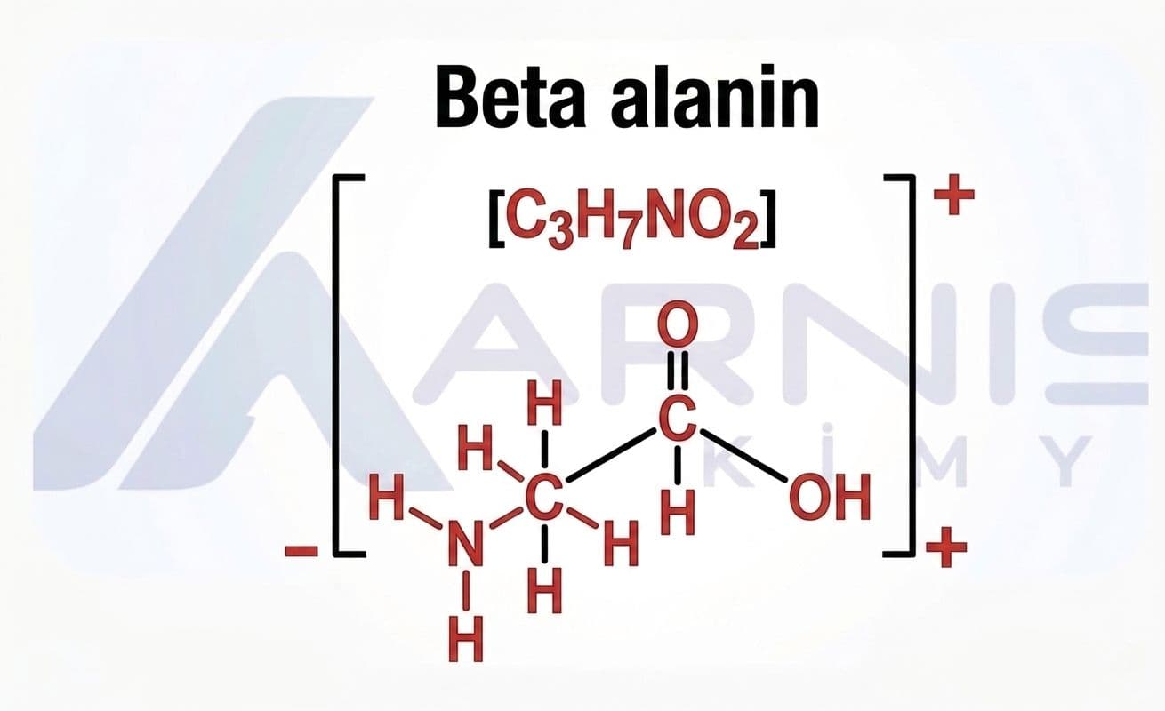 Beta Alanin 2