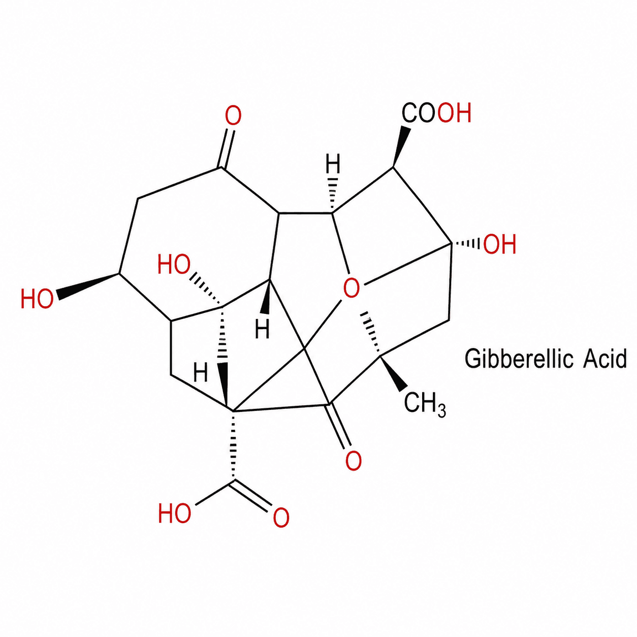Gibberellic Acid 2
