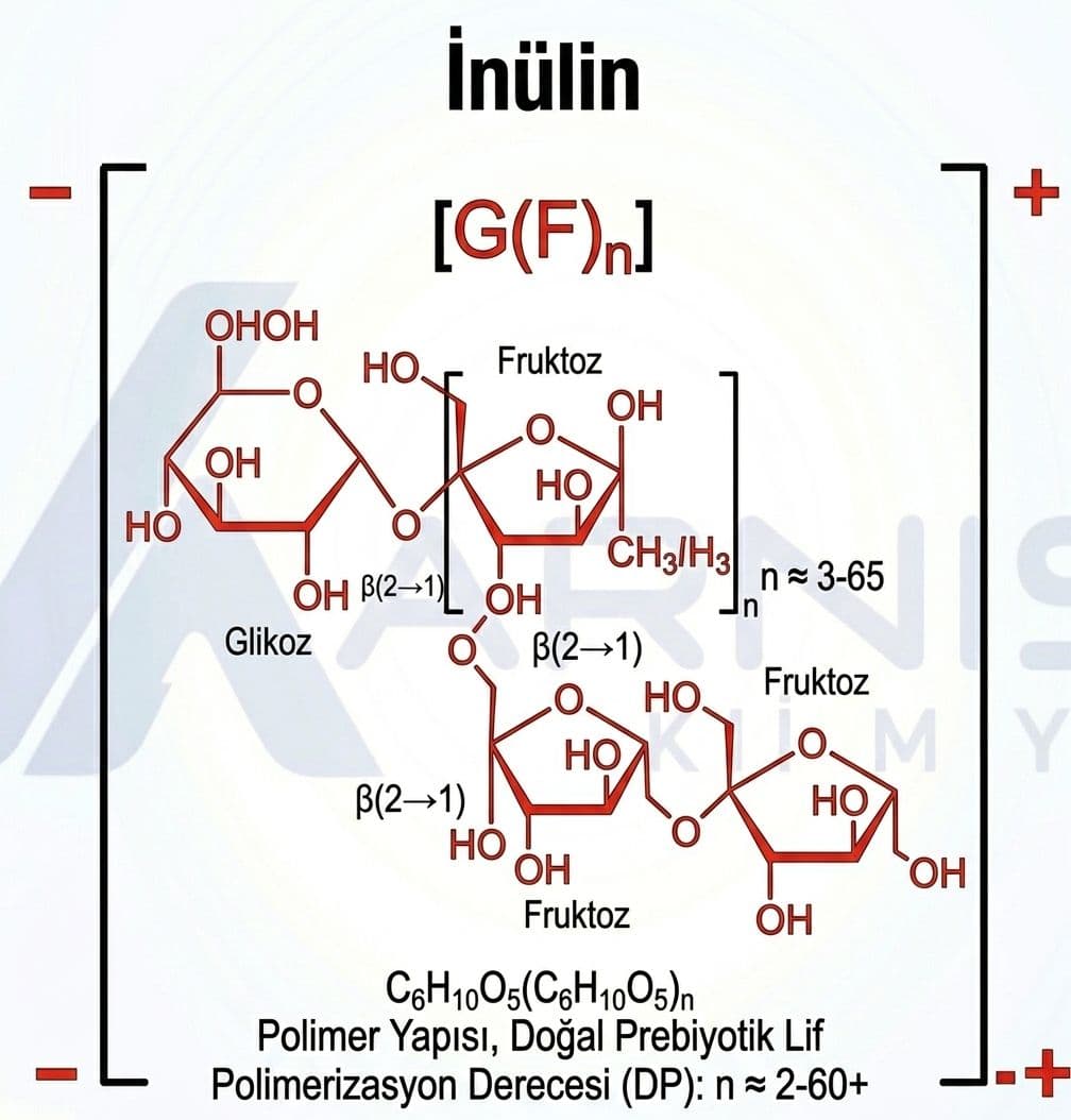İnülin 2