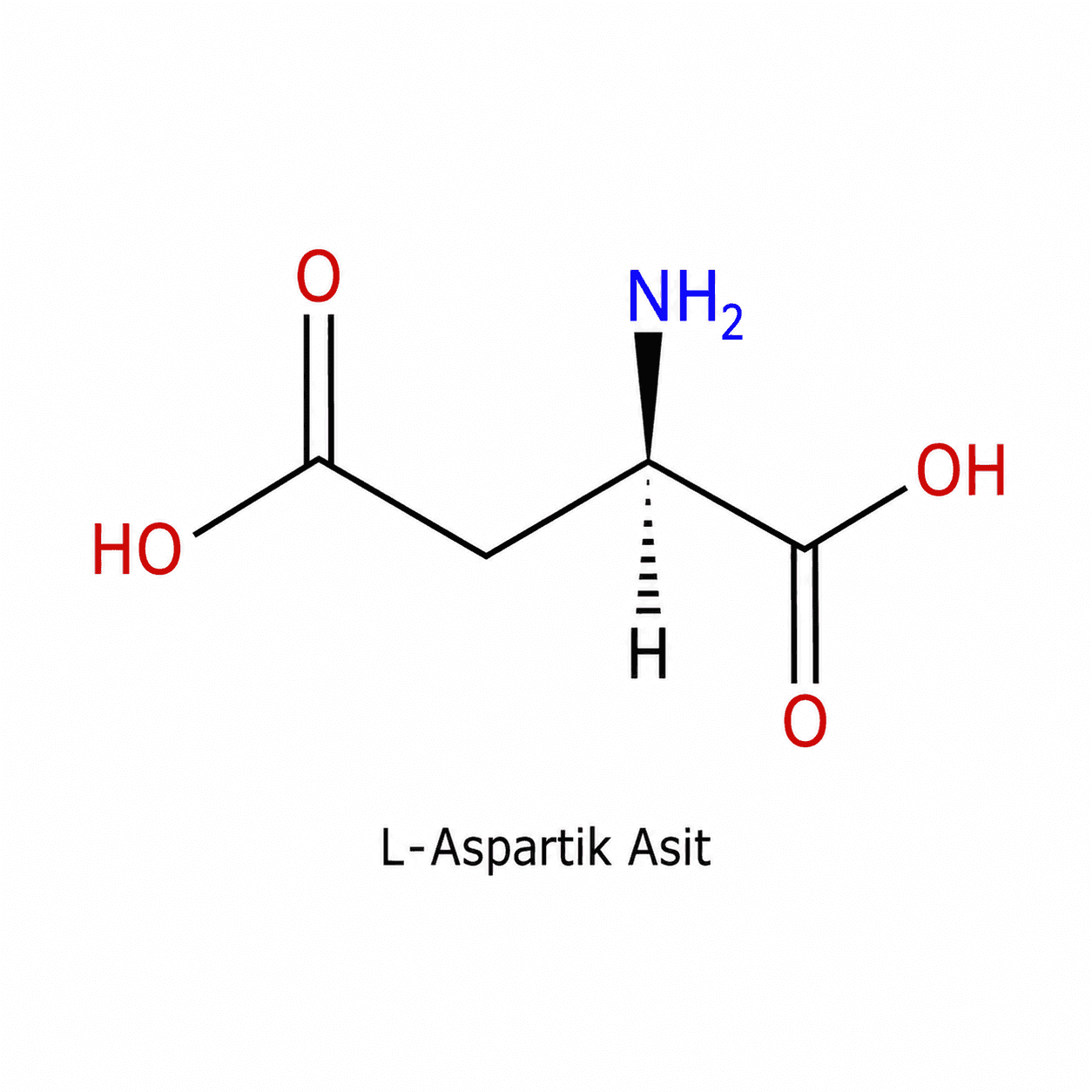 L-Aspartik Asit (L-Aspartic Acid) 2