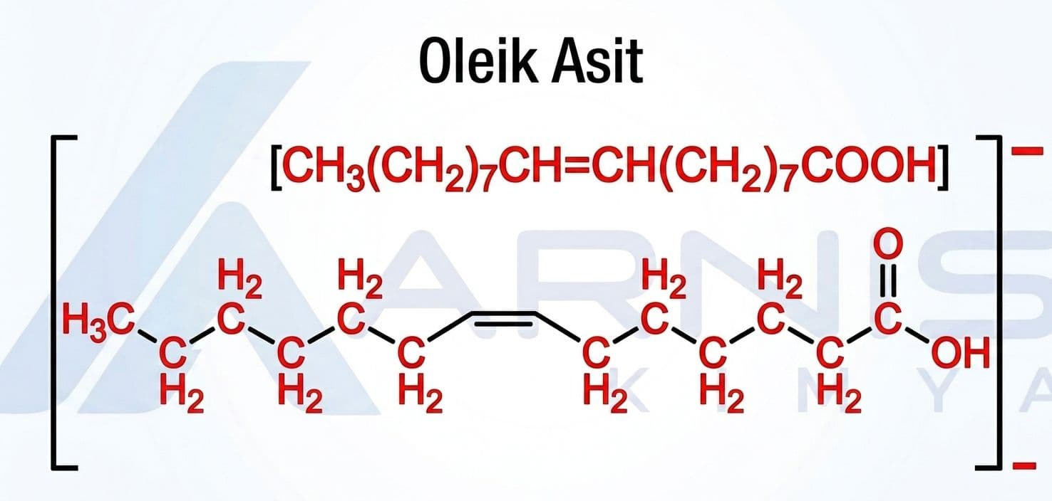Oleik Asit 2