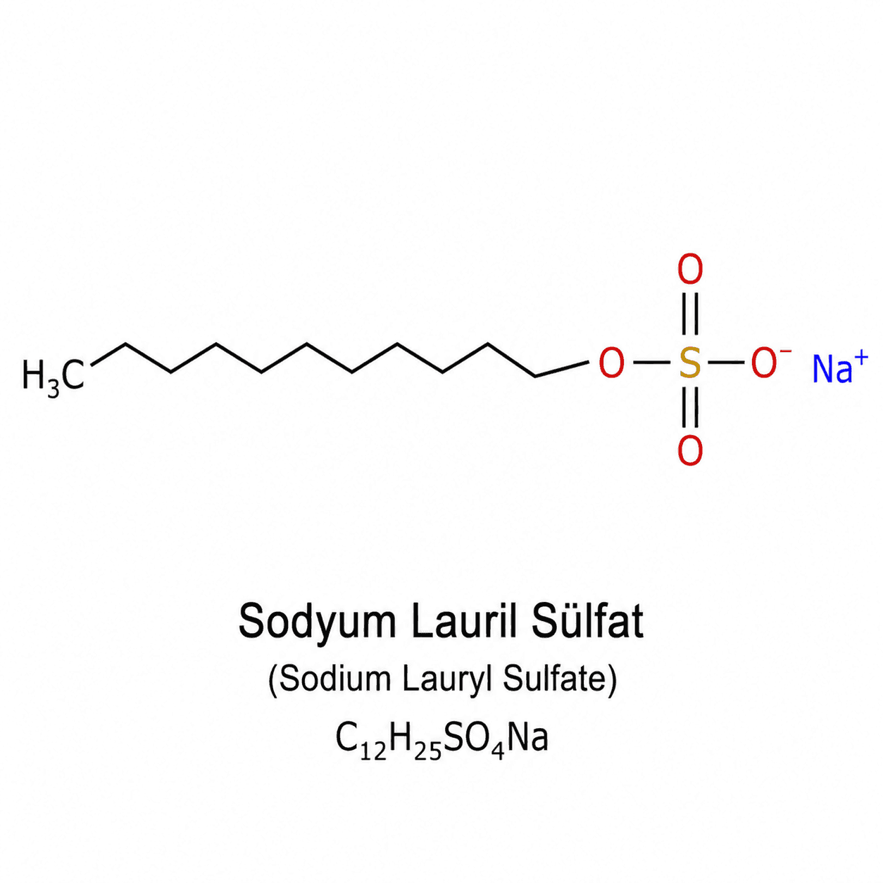 Sodyum Lauril Sülfat (SLS) 2